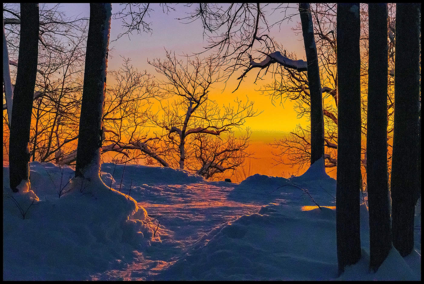 Утро в лесу