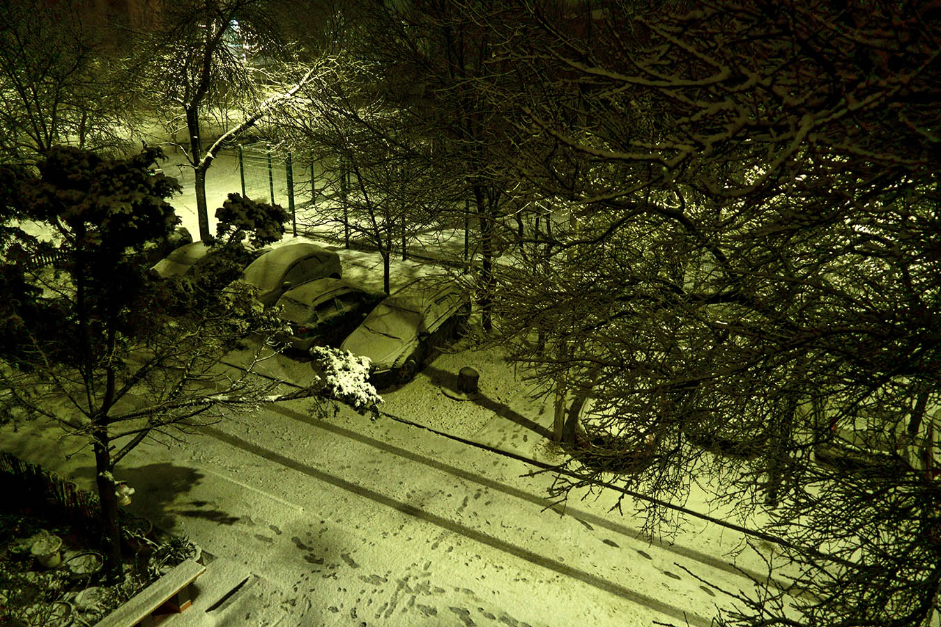 Здравствуй зимушка-весна