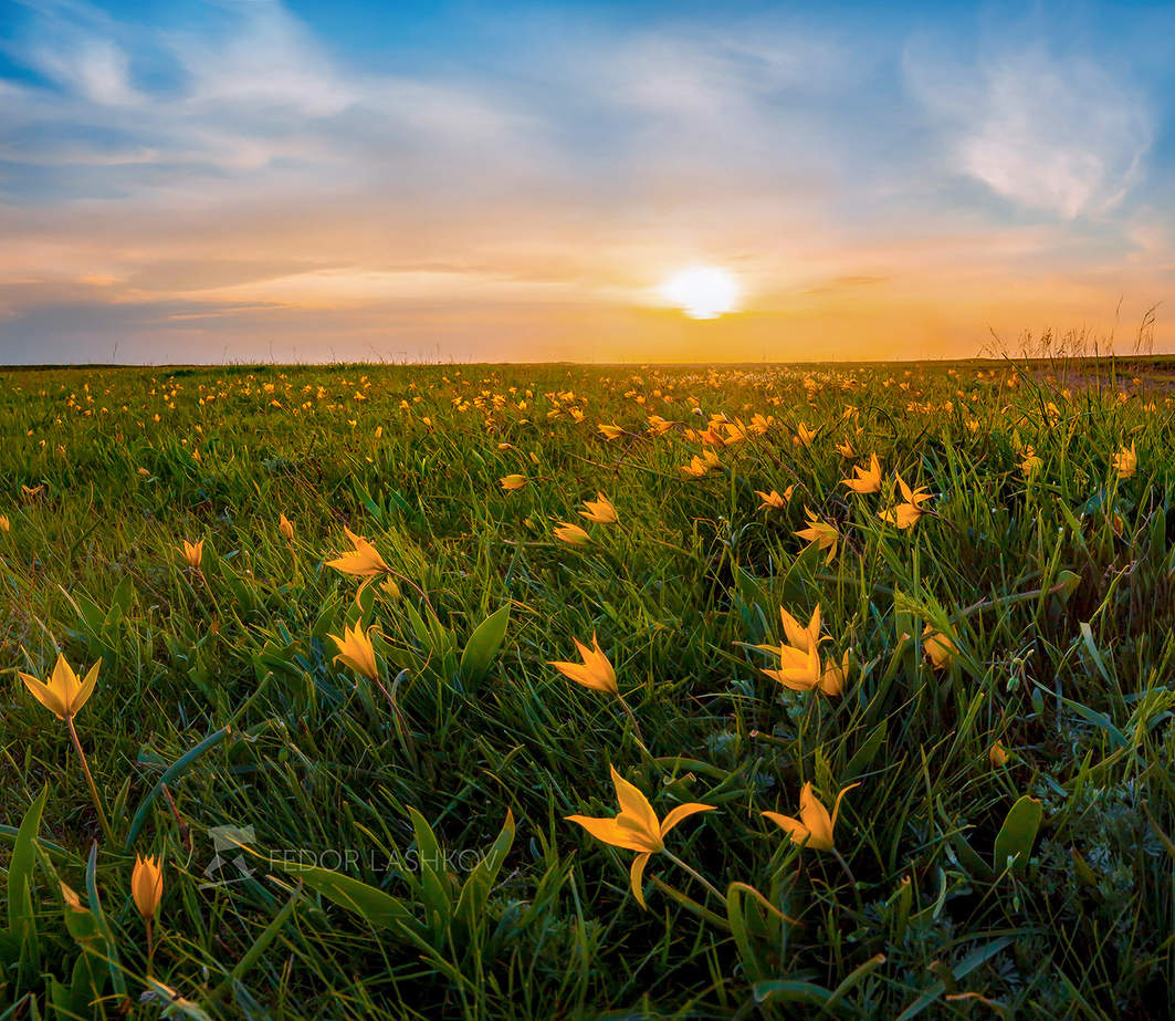 С первым днём Весны!