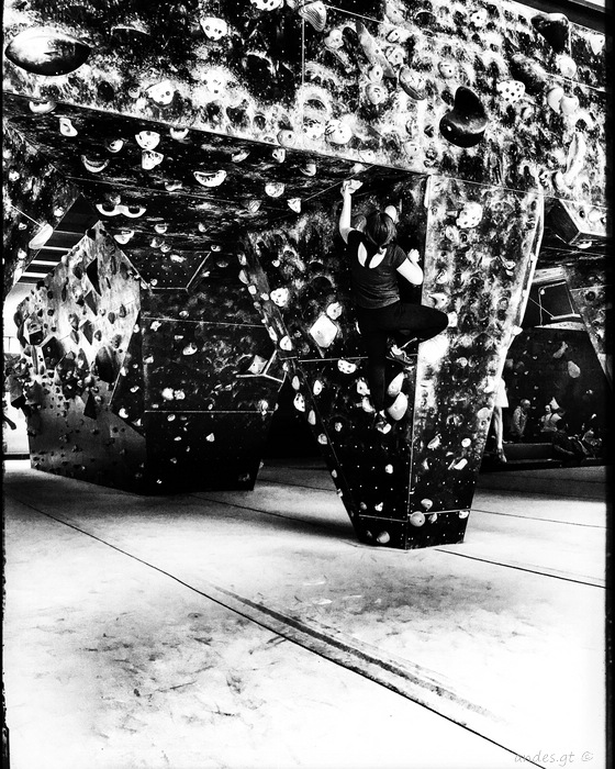 жёлтая трасса