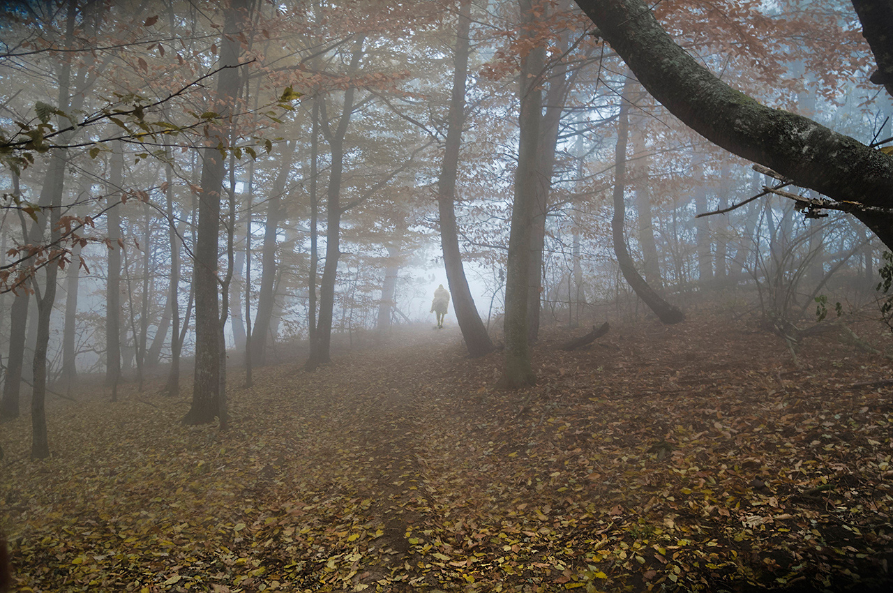 Запах опавшей листвы
