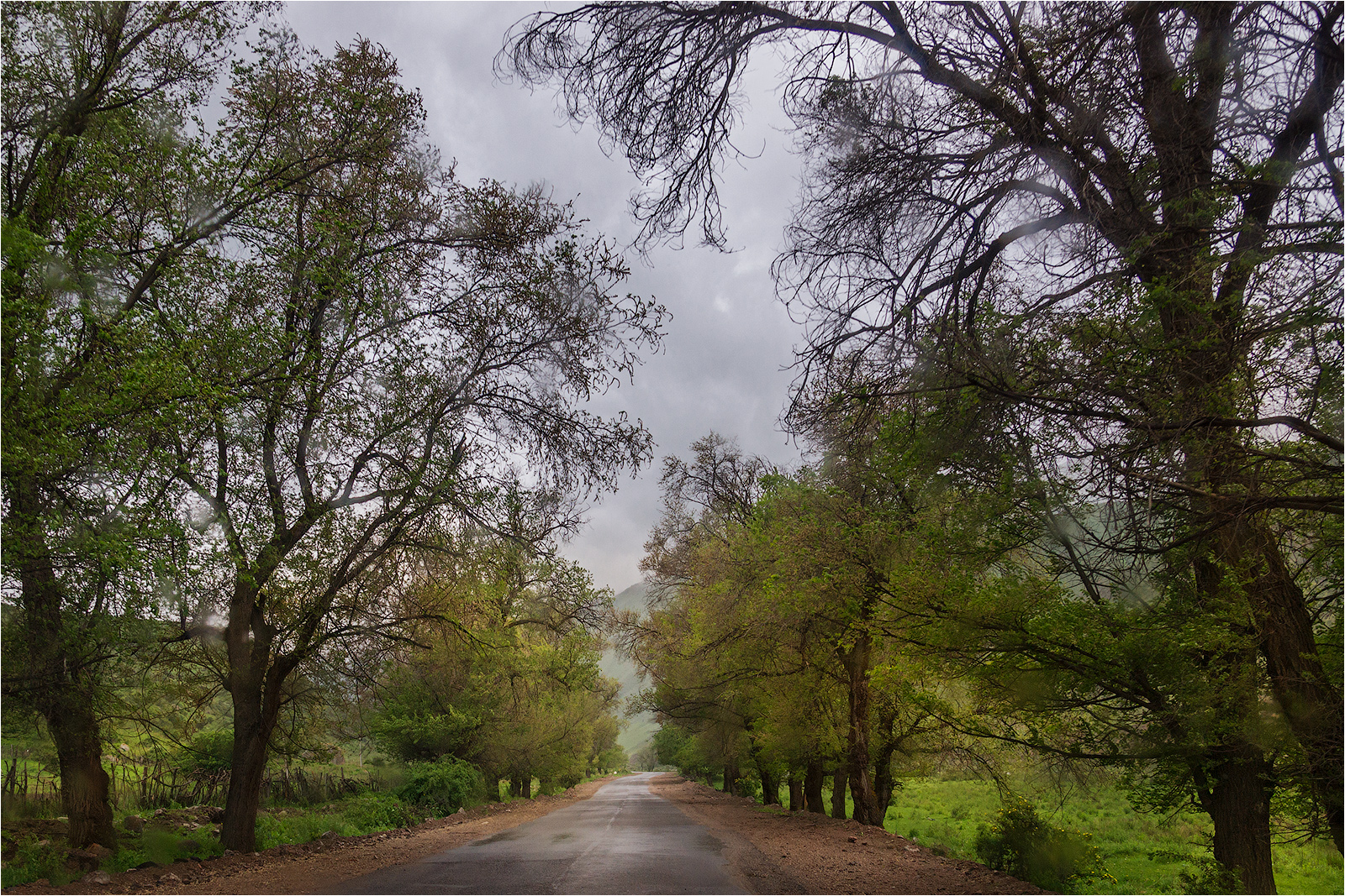 Уютная дорога...