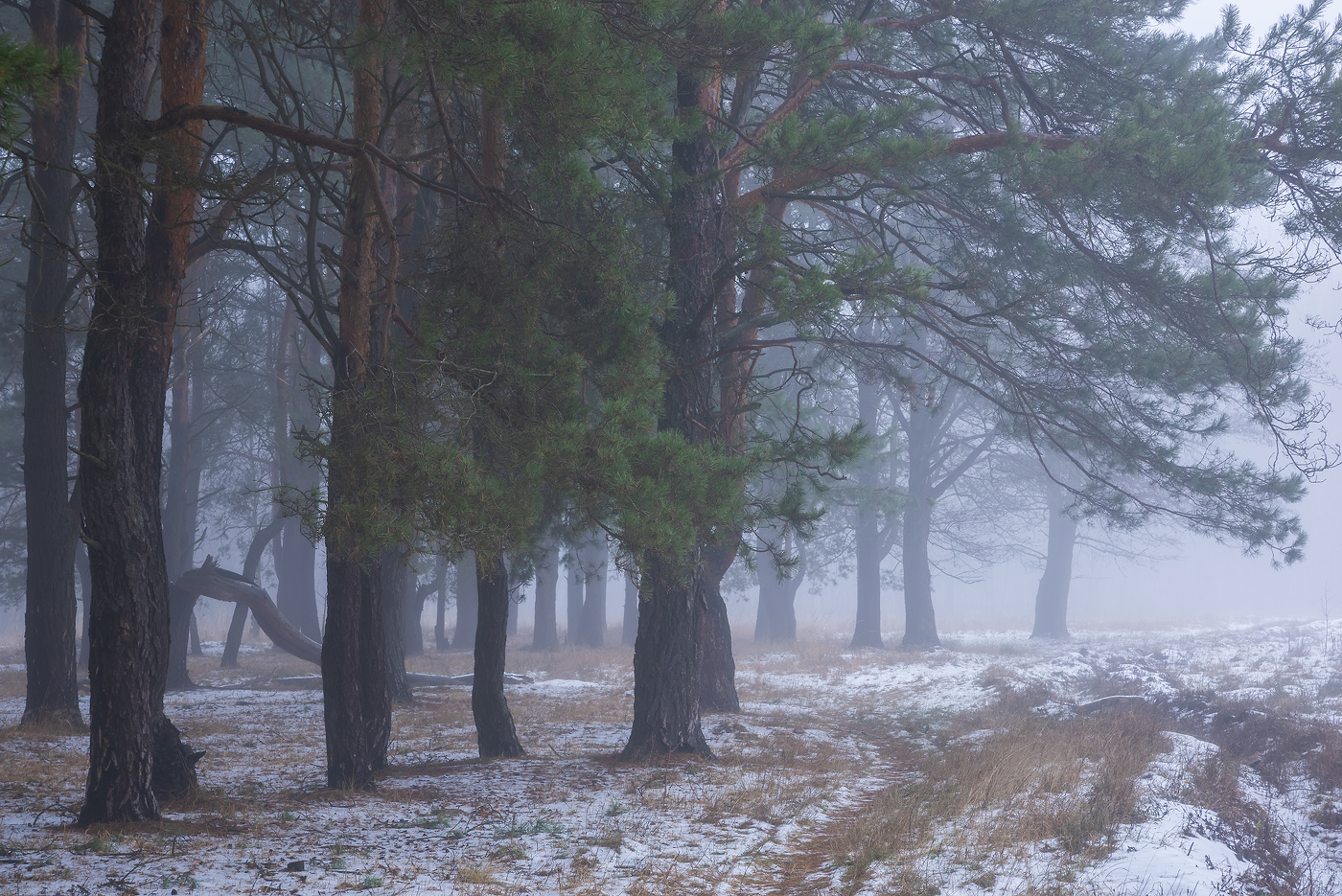 Сегодня без солнца