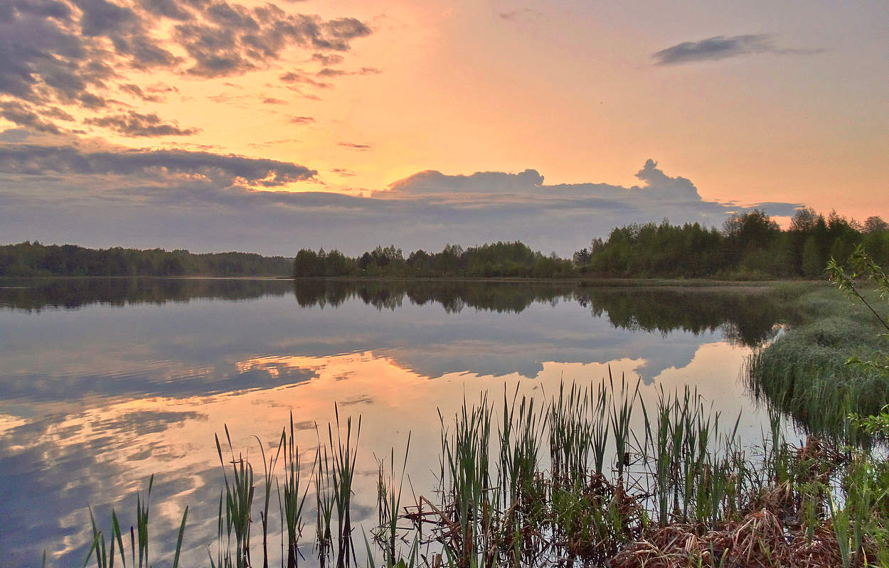 Тишина после майской вечерней грозы