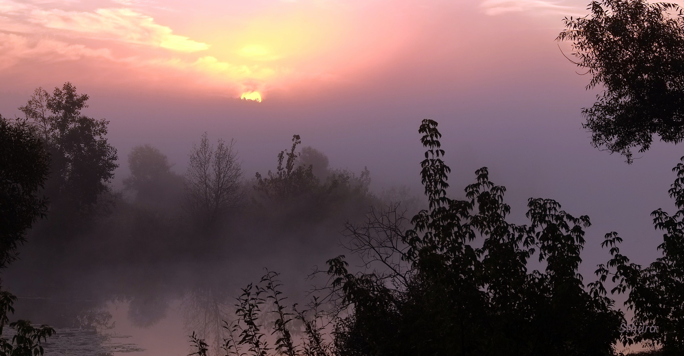 Там за туманами...