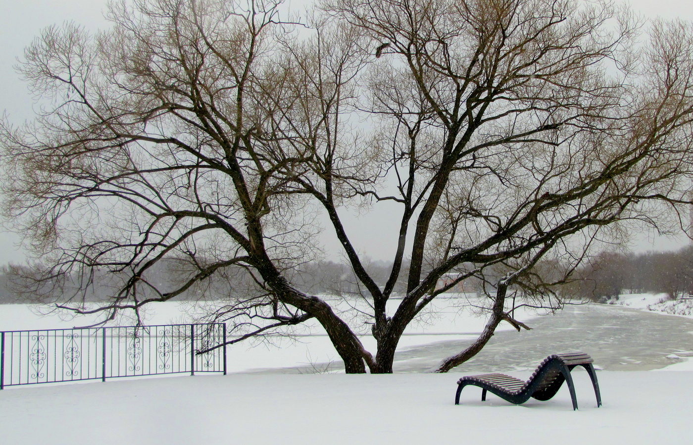 Графика зимы!