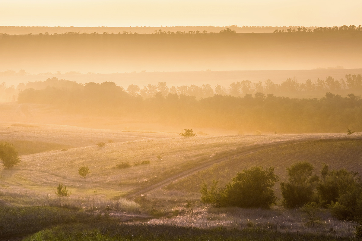 Пыльный закат