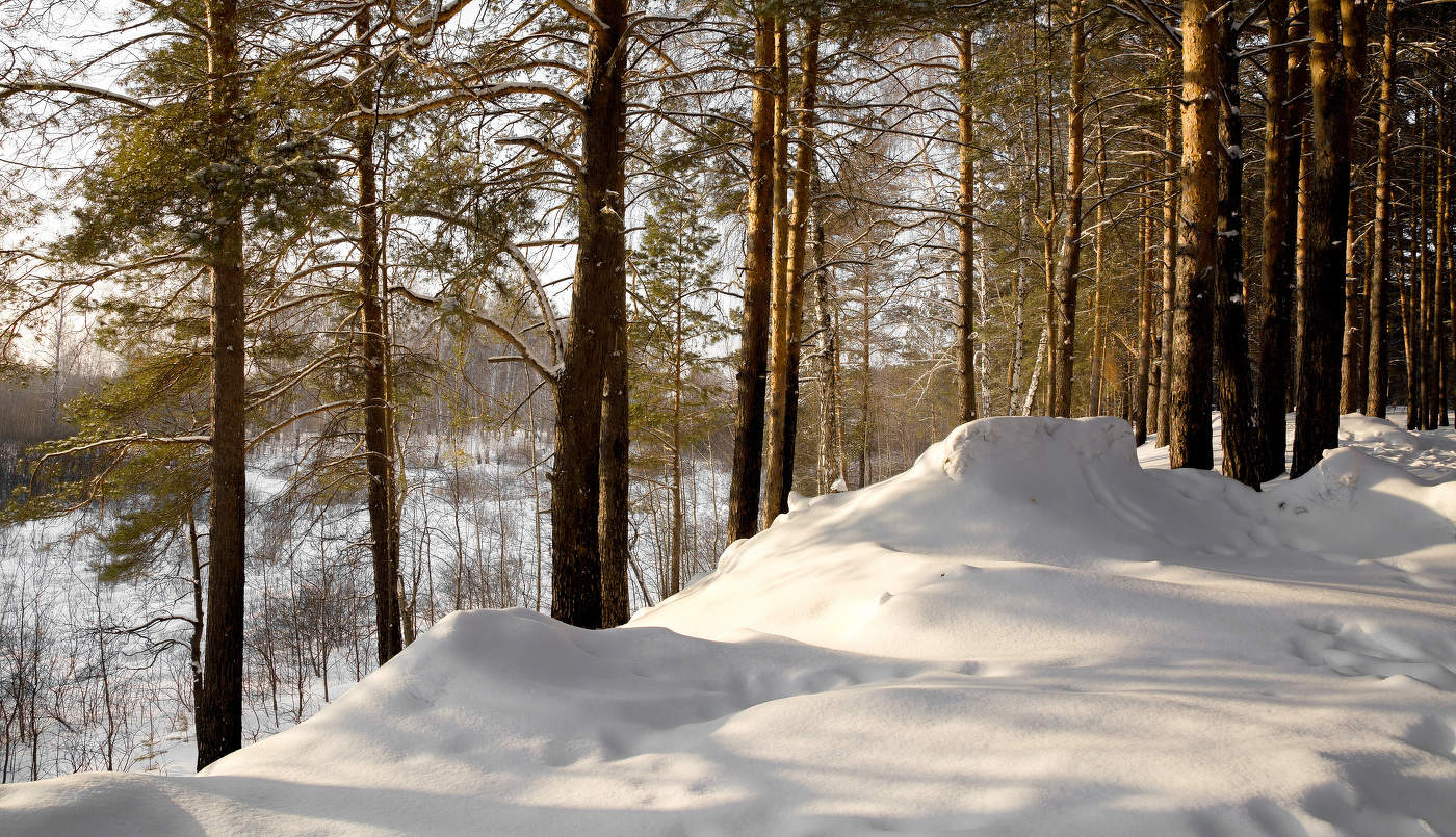 Навстречу весне.