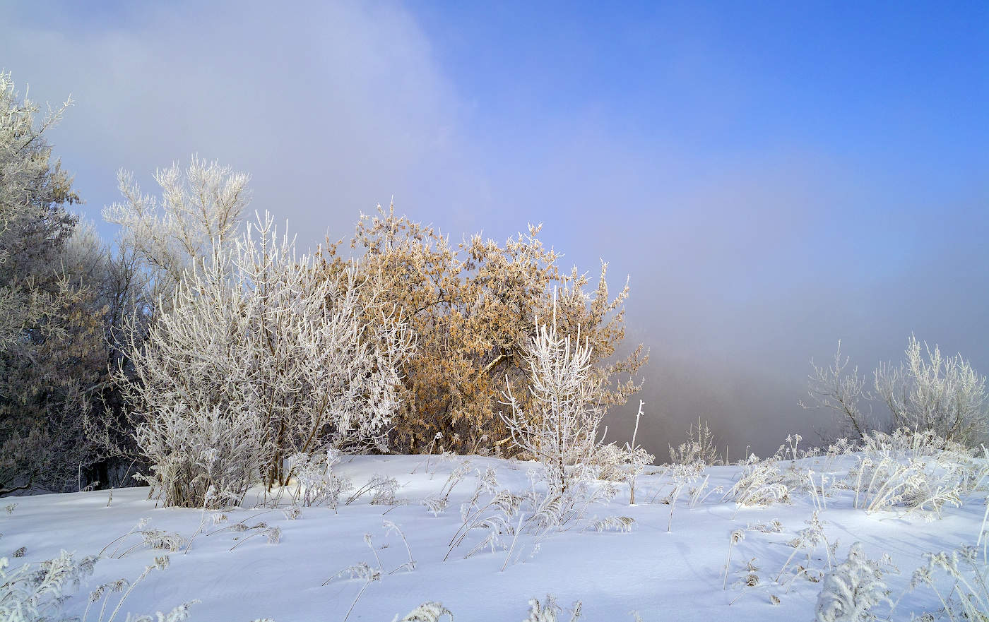 Морозное февральское утро