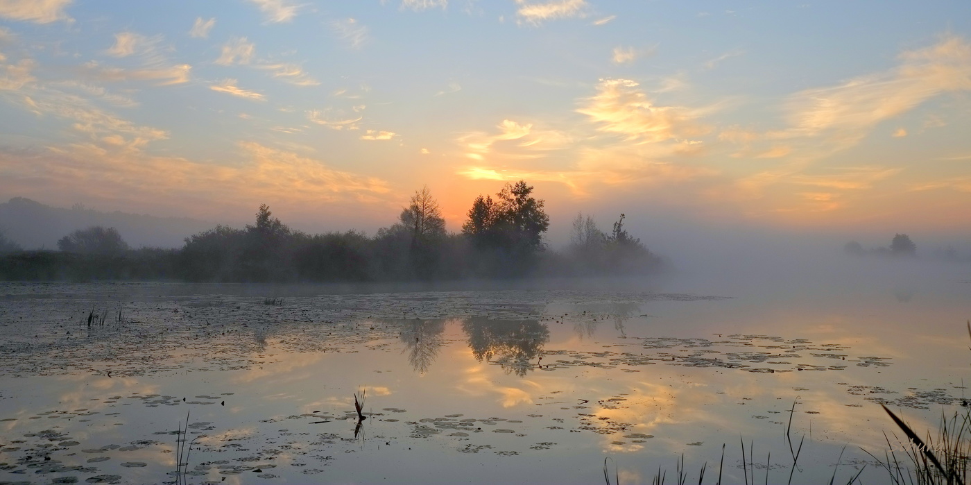 Осеннее утро.