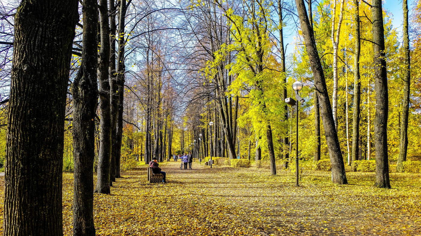 Осенний парк...листва...скамейка...