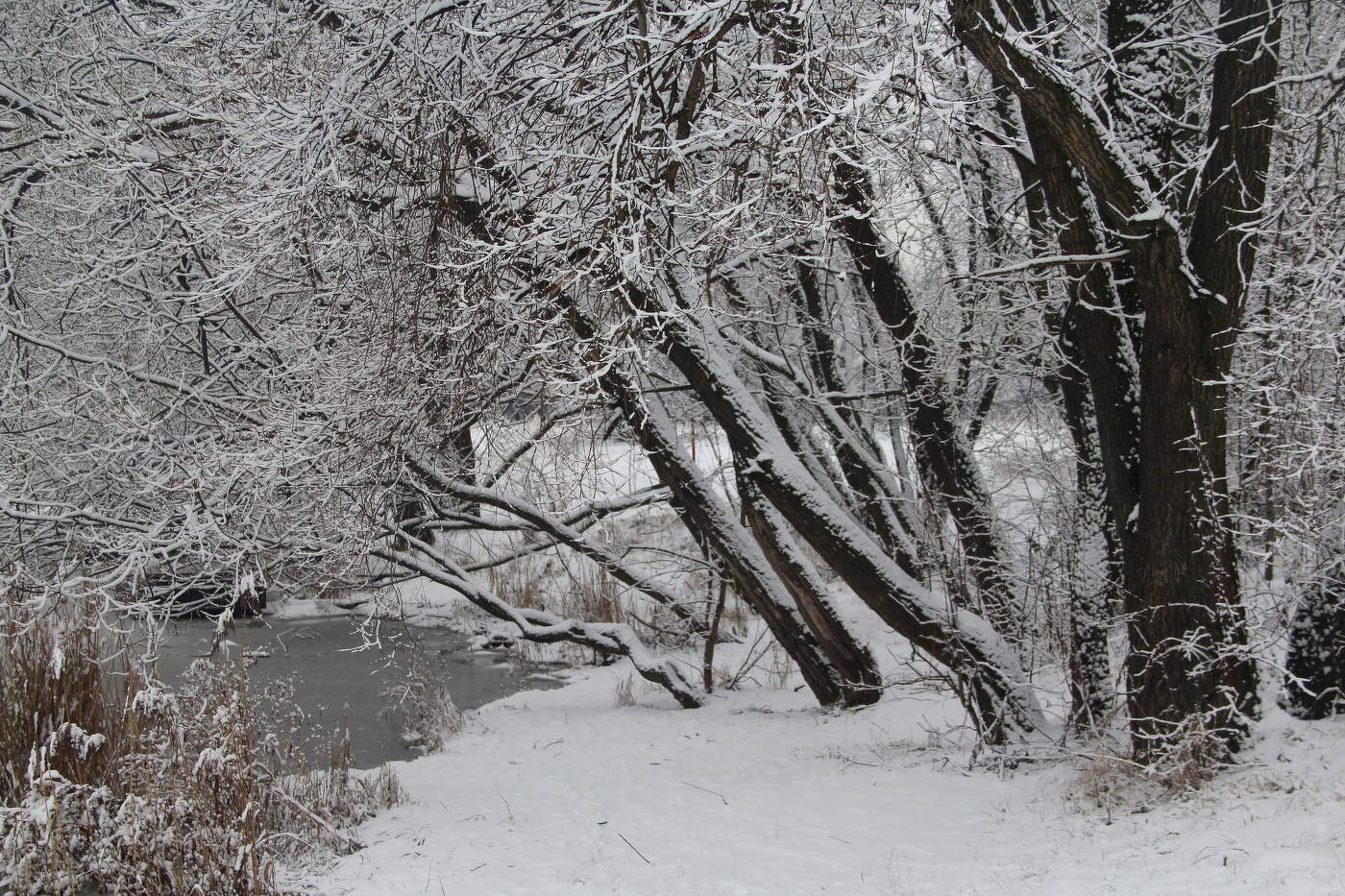 Зимний пейзаж!