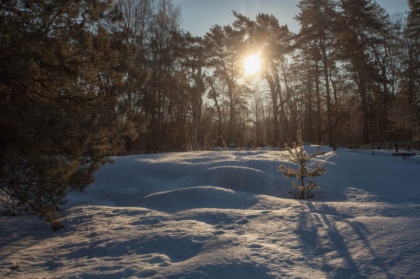 Жизнь вокруг