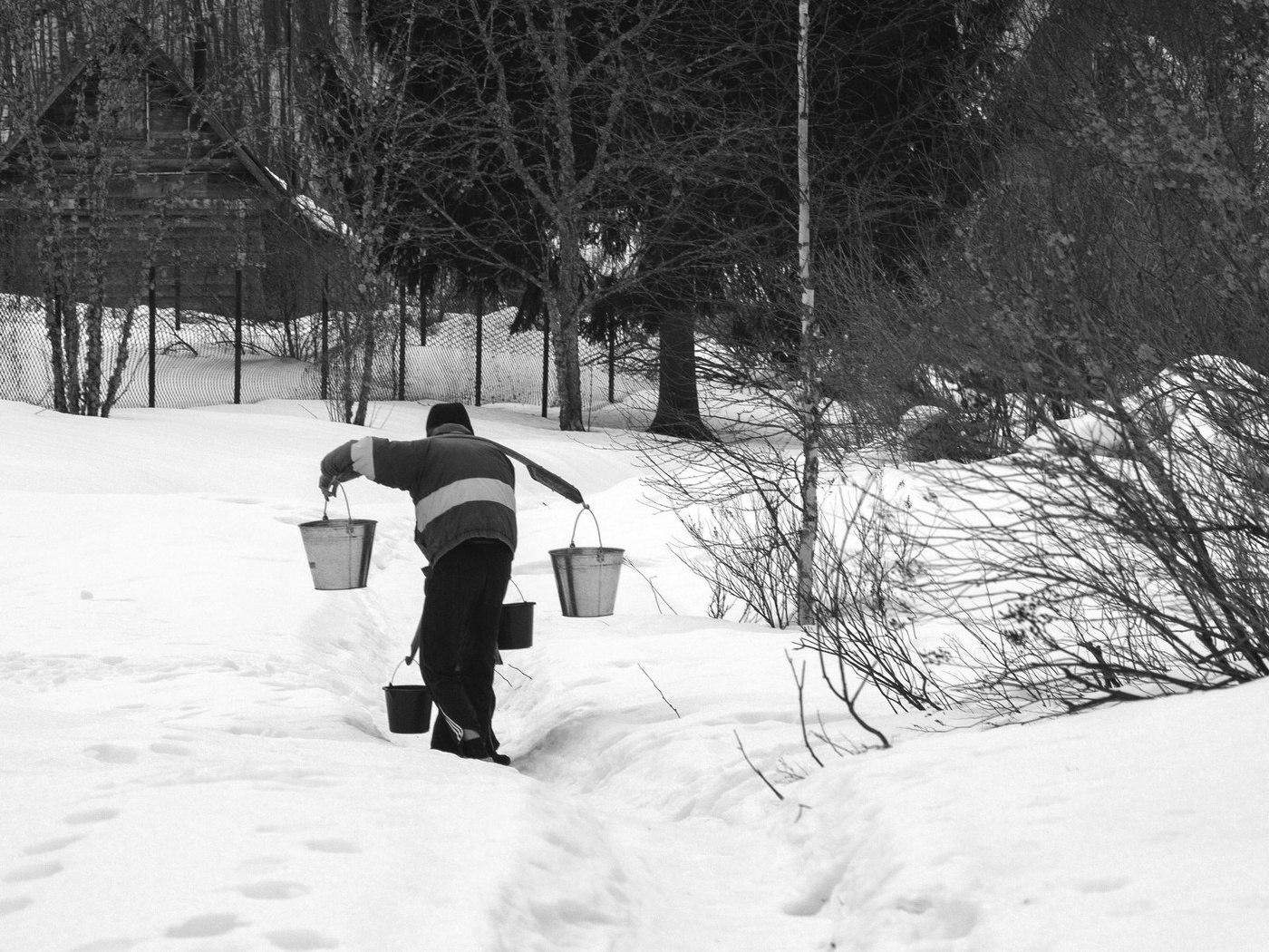 Жизнь вокруг