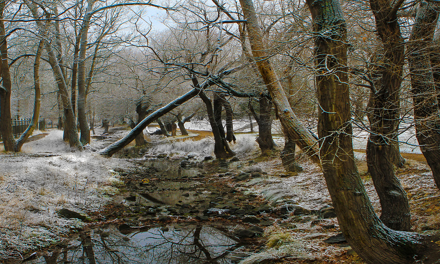 Танцы у ручья