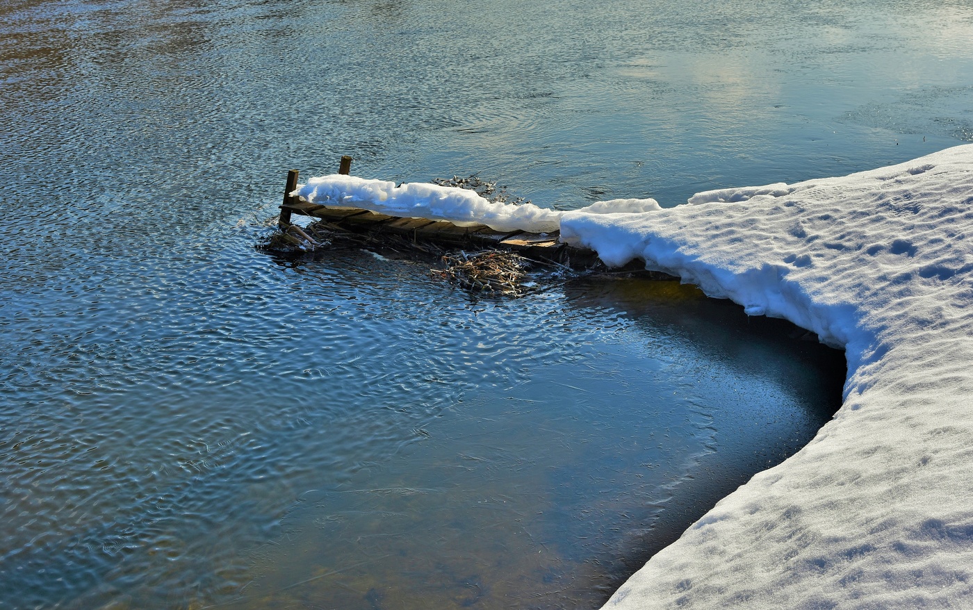 Течет река весенняя ...