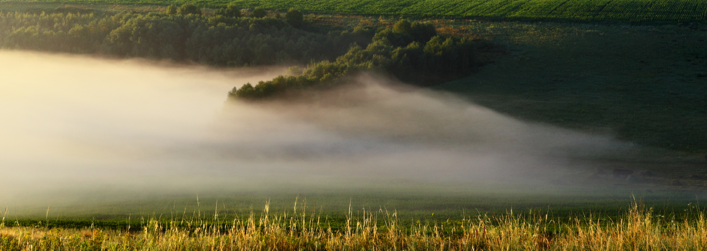 Летнее утро