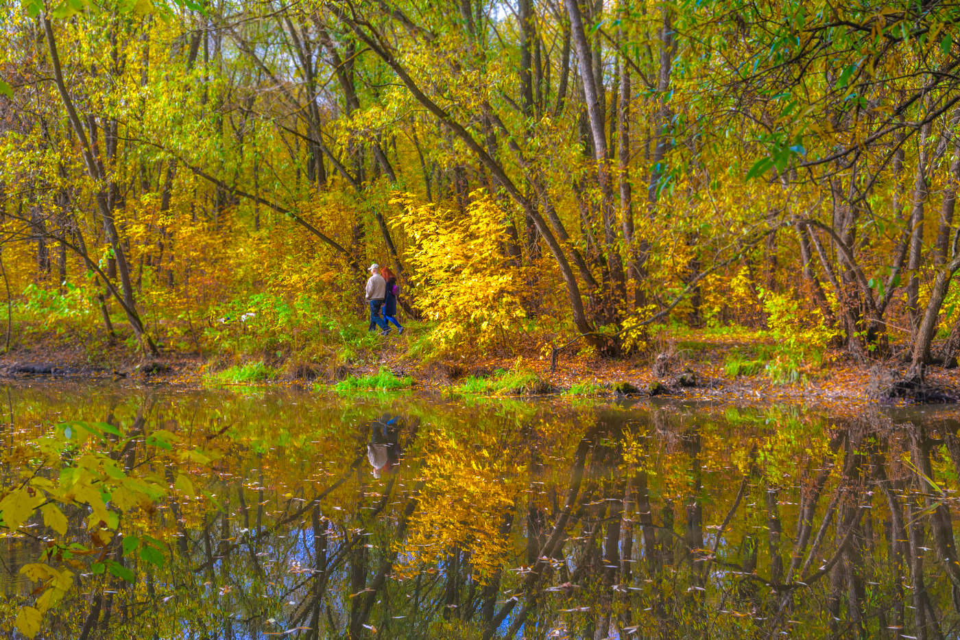 Осенние зарисовки