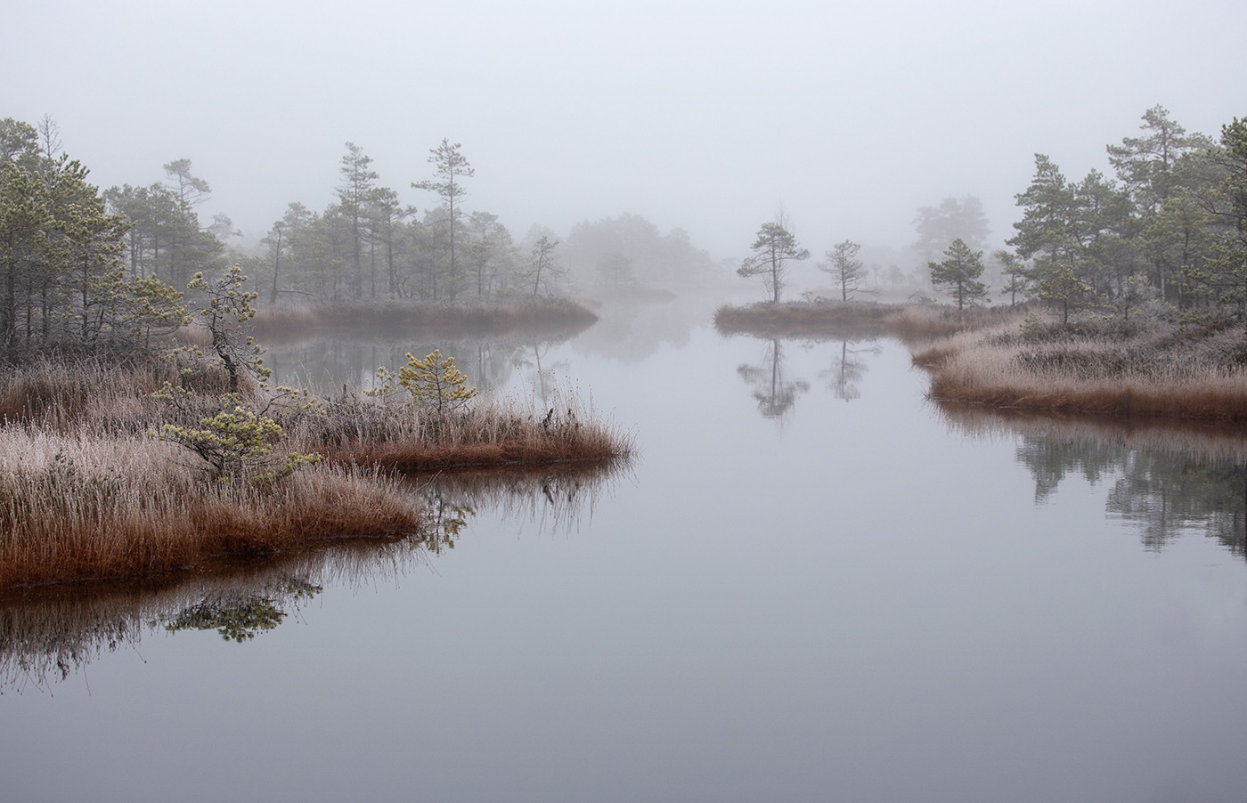 Туманные перспективы