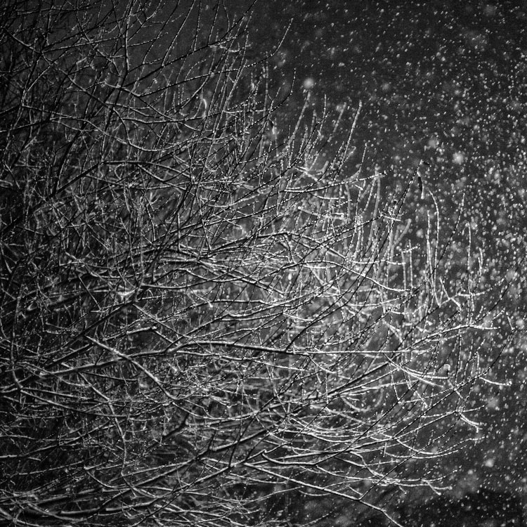 Жизнь вокруг