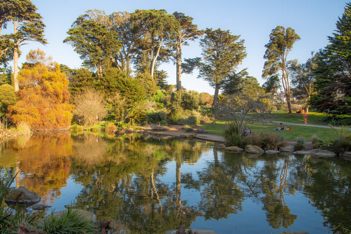 Голден Гейт парк.