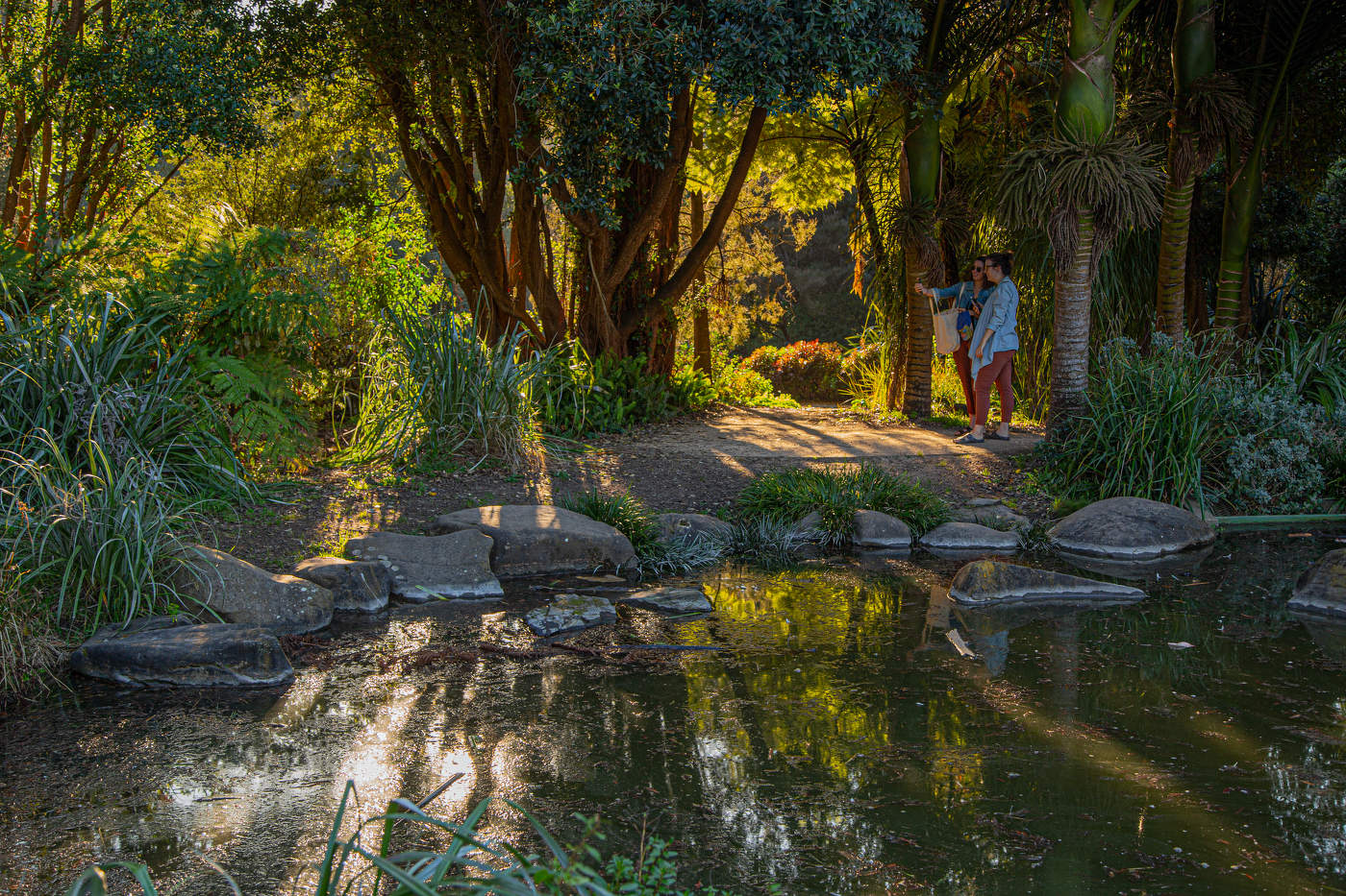 В парке старинном...