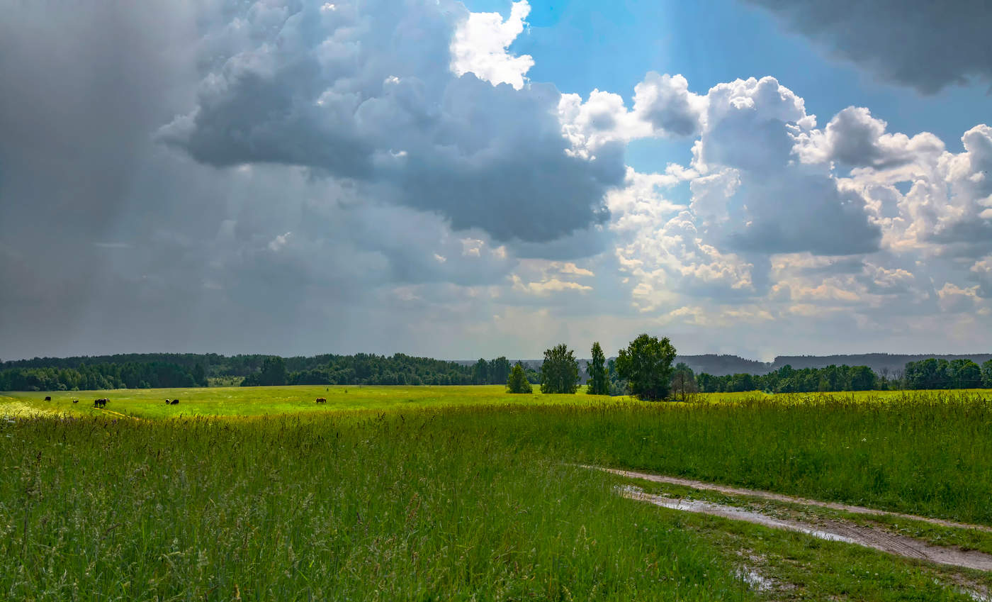 эти летние дожди...