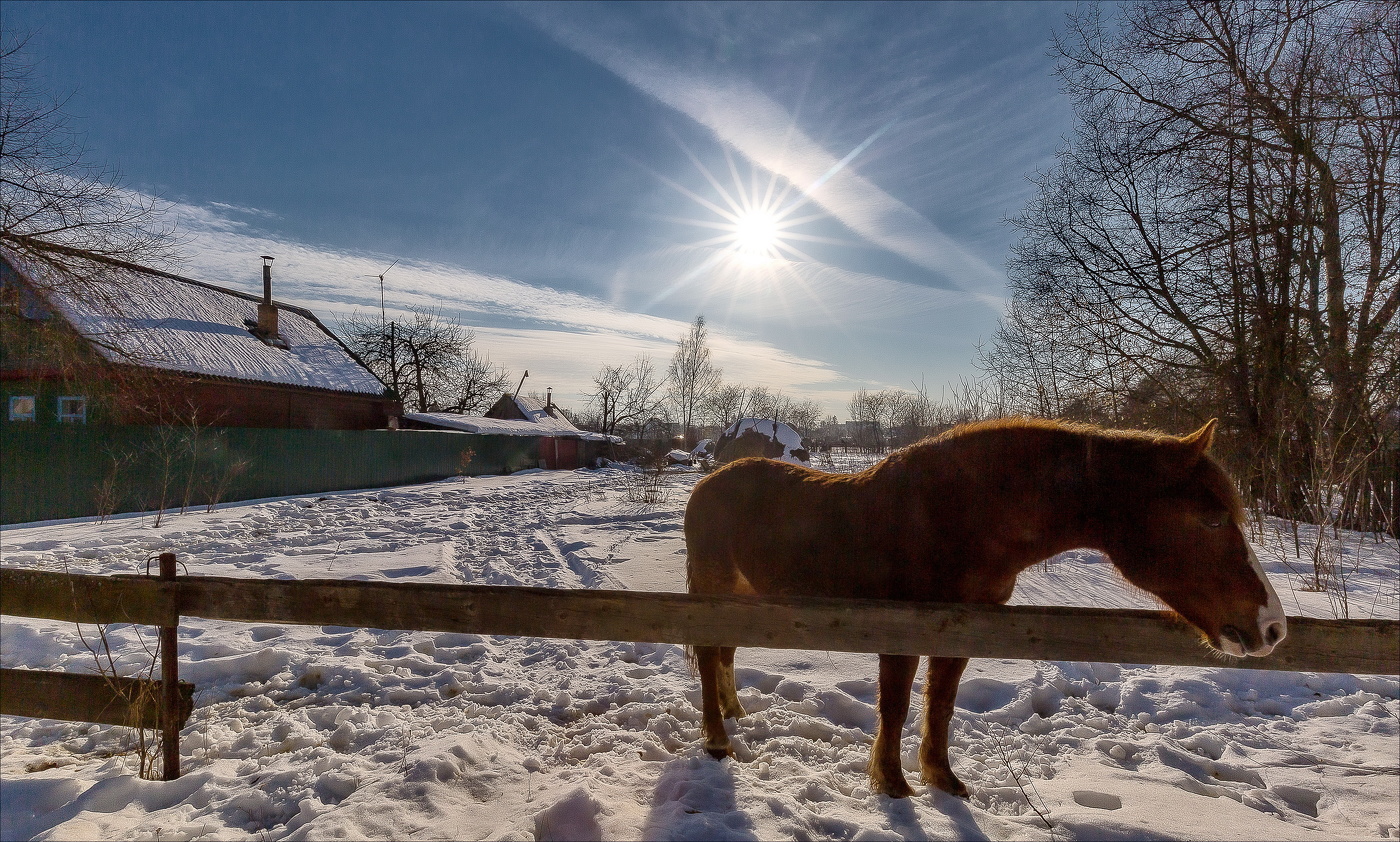 Февральское солнце еще не Весна...