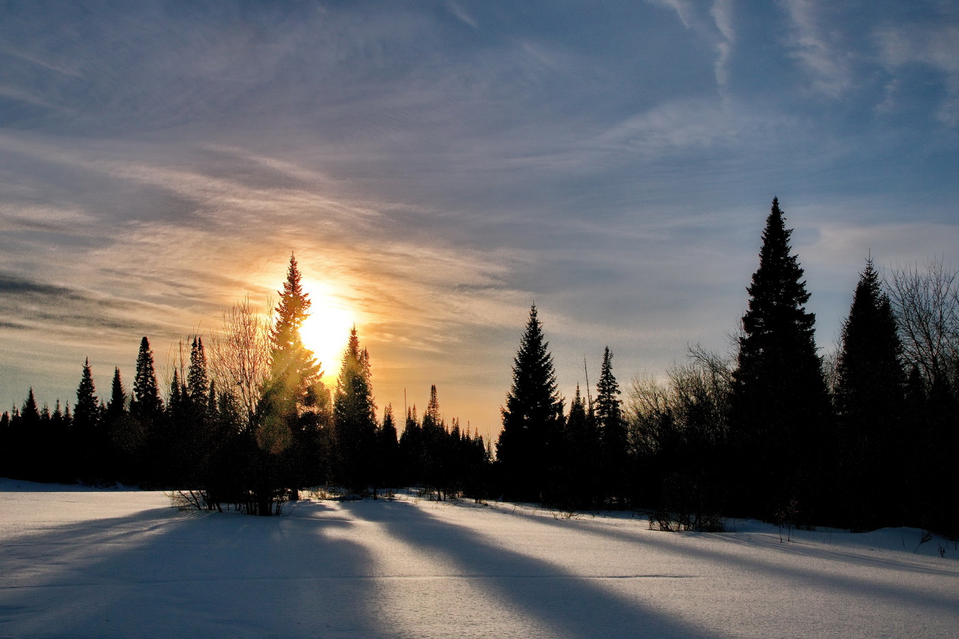 *Вечерние тени.**