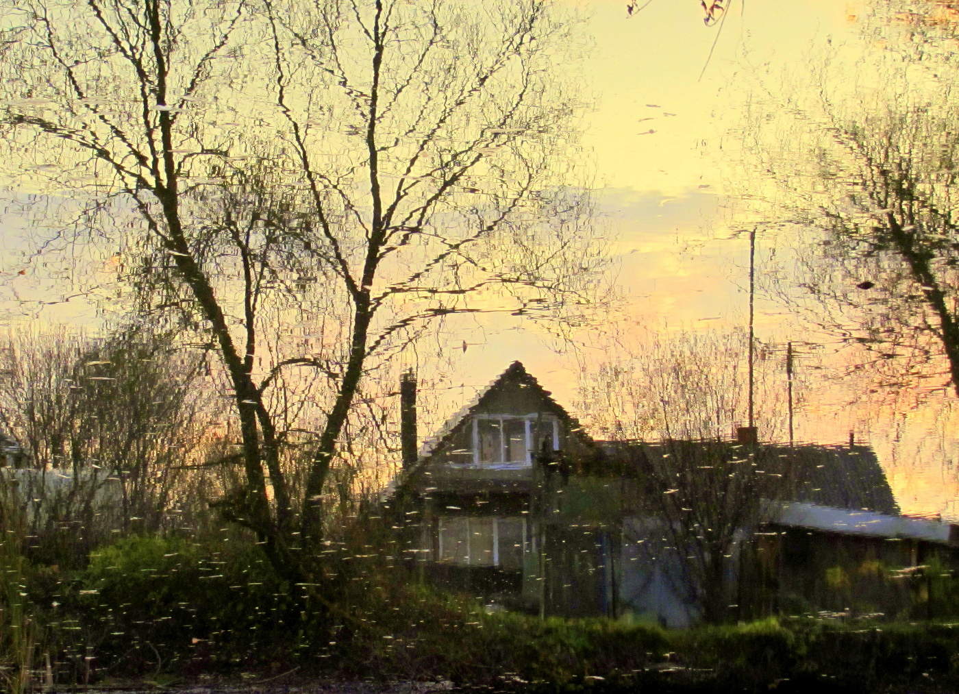 Отражение в пруду!