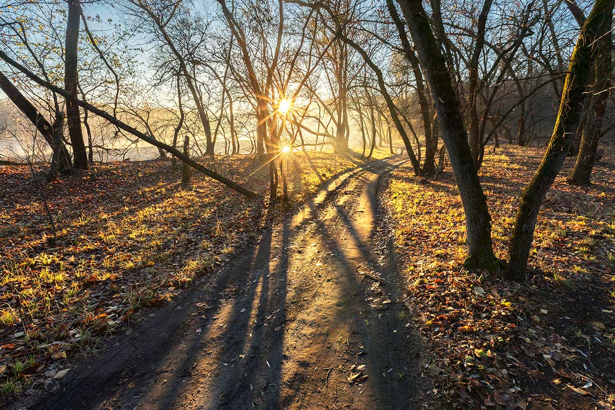 Навстречу солнцу