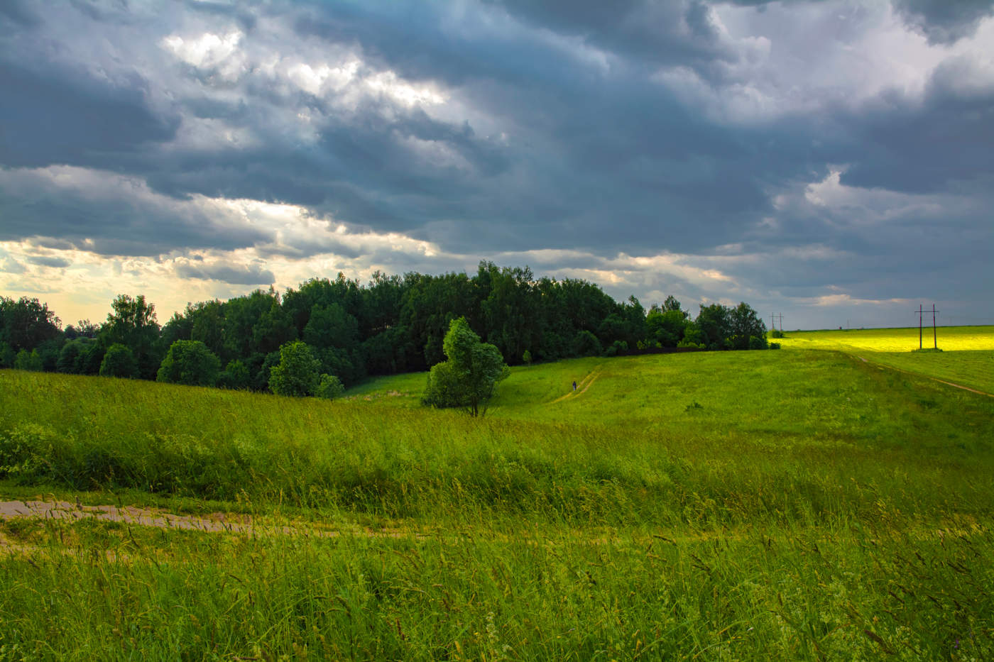 буйное лето