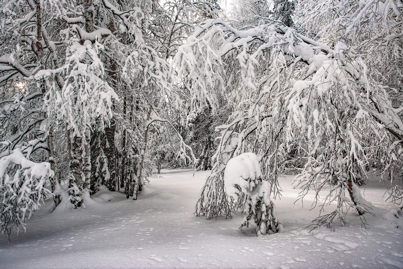 Снежная зима