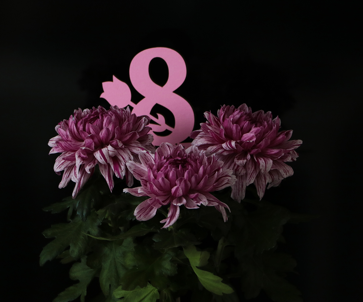 Подарок от сына