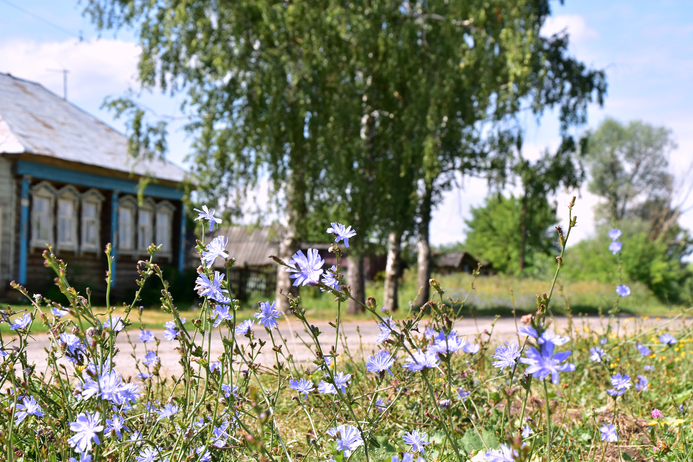 Скоро лето?