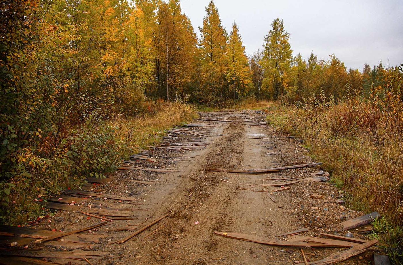 Стёжки - дорожки...