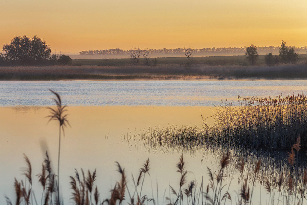 Рассветный пруд