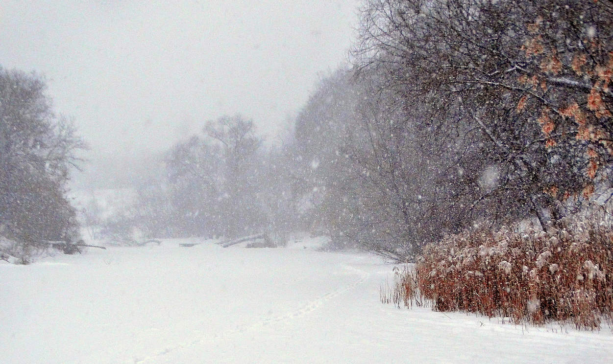 Нежданно снегом замело