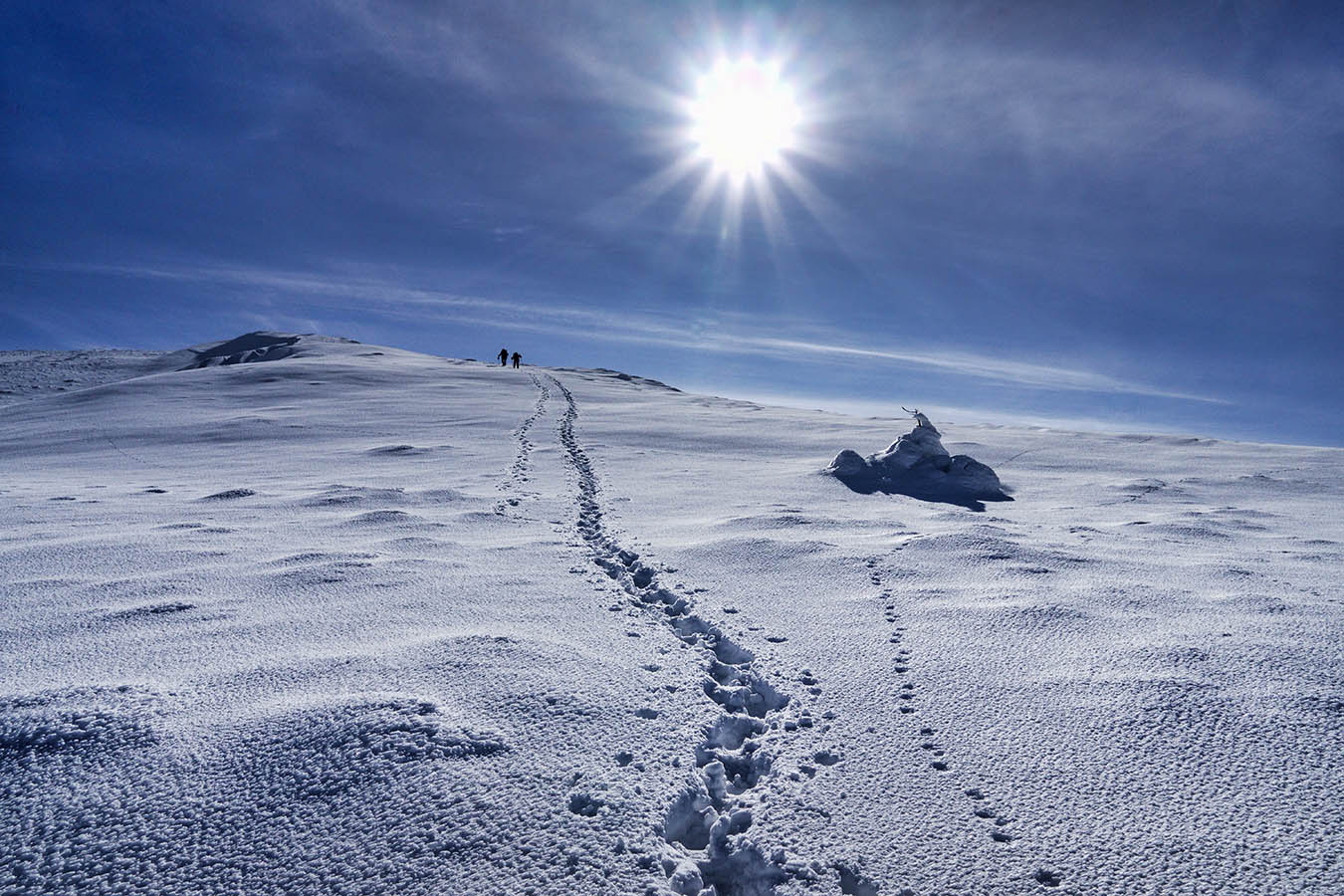 Дорога к Солнцу