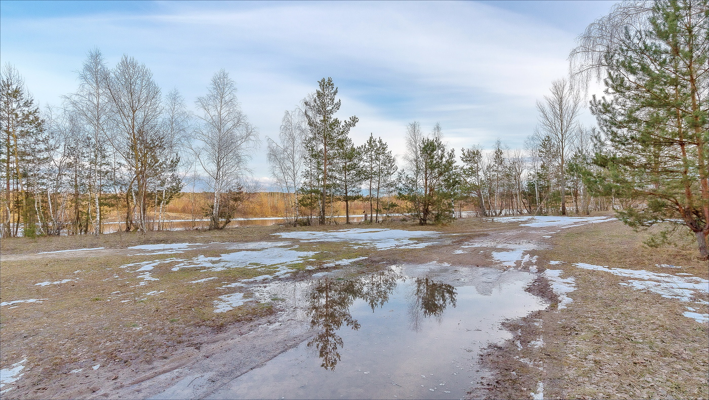 Зажурчала Весна по проталинам...