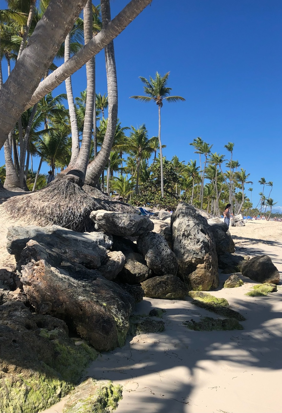 Райский уголок