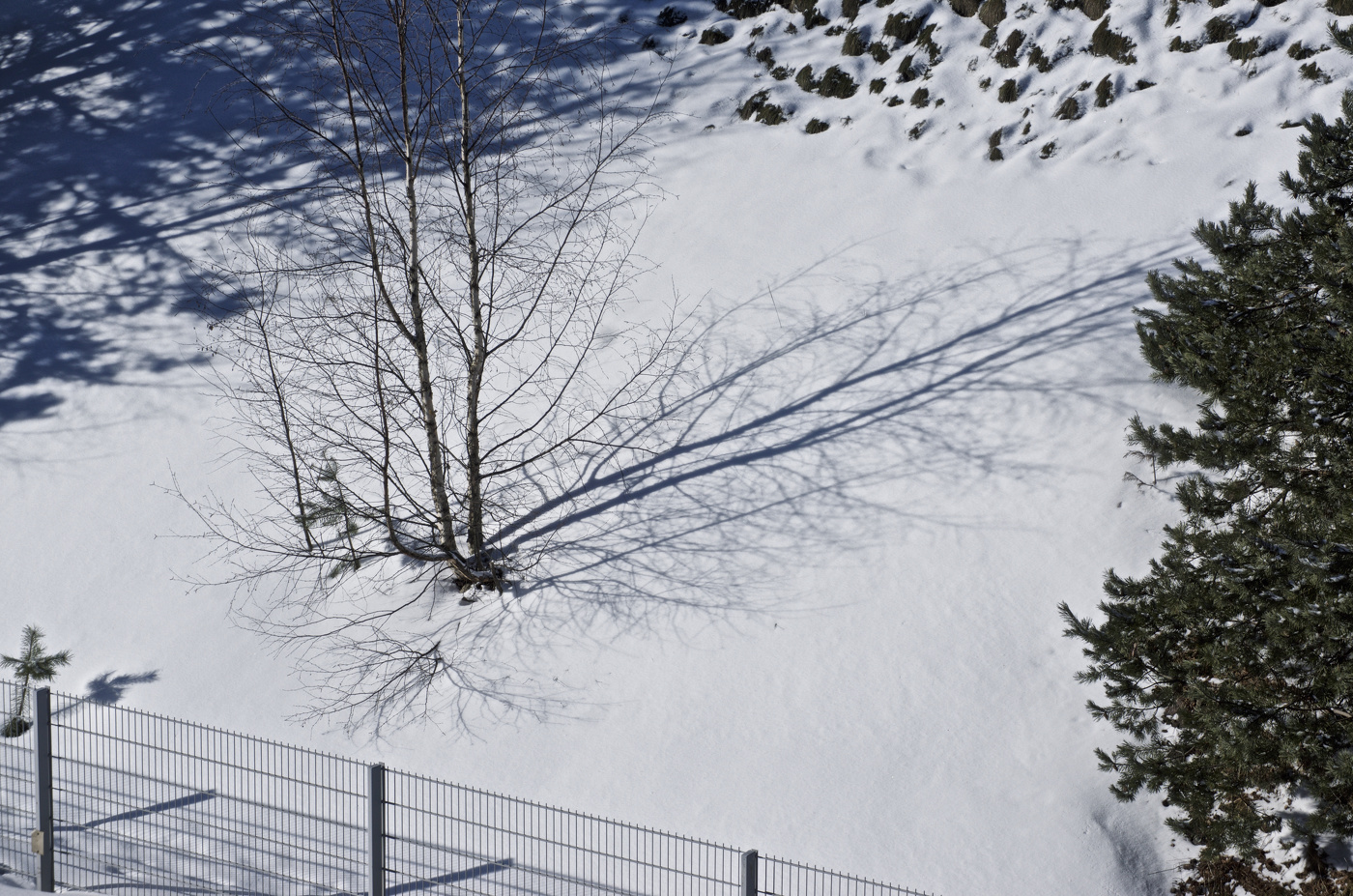 Мартовские тени