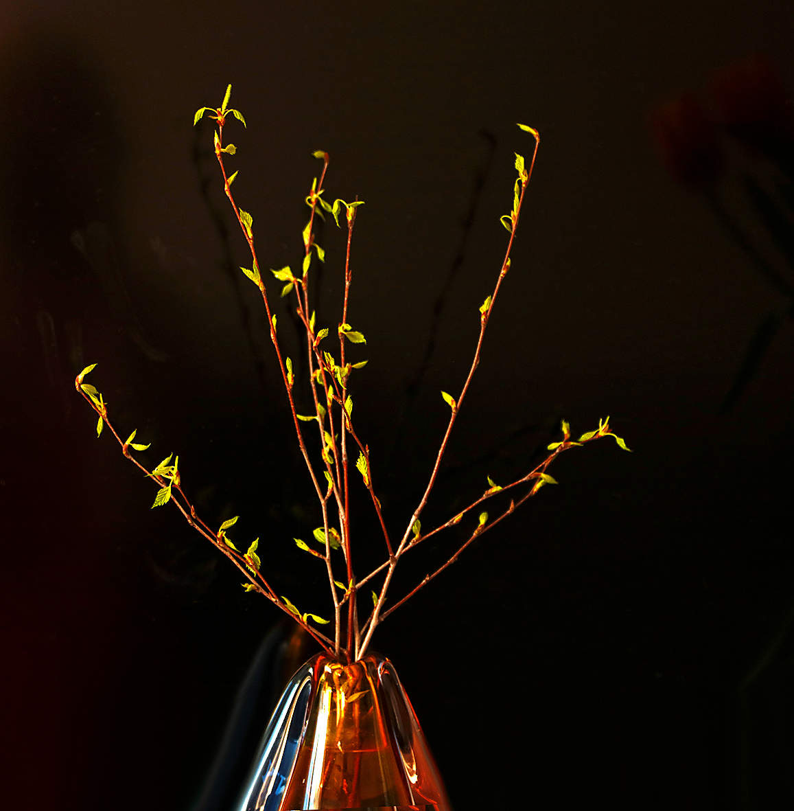 И снова весна – просыпаются сонные почки, И ветер целует зеленые губы листочков...