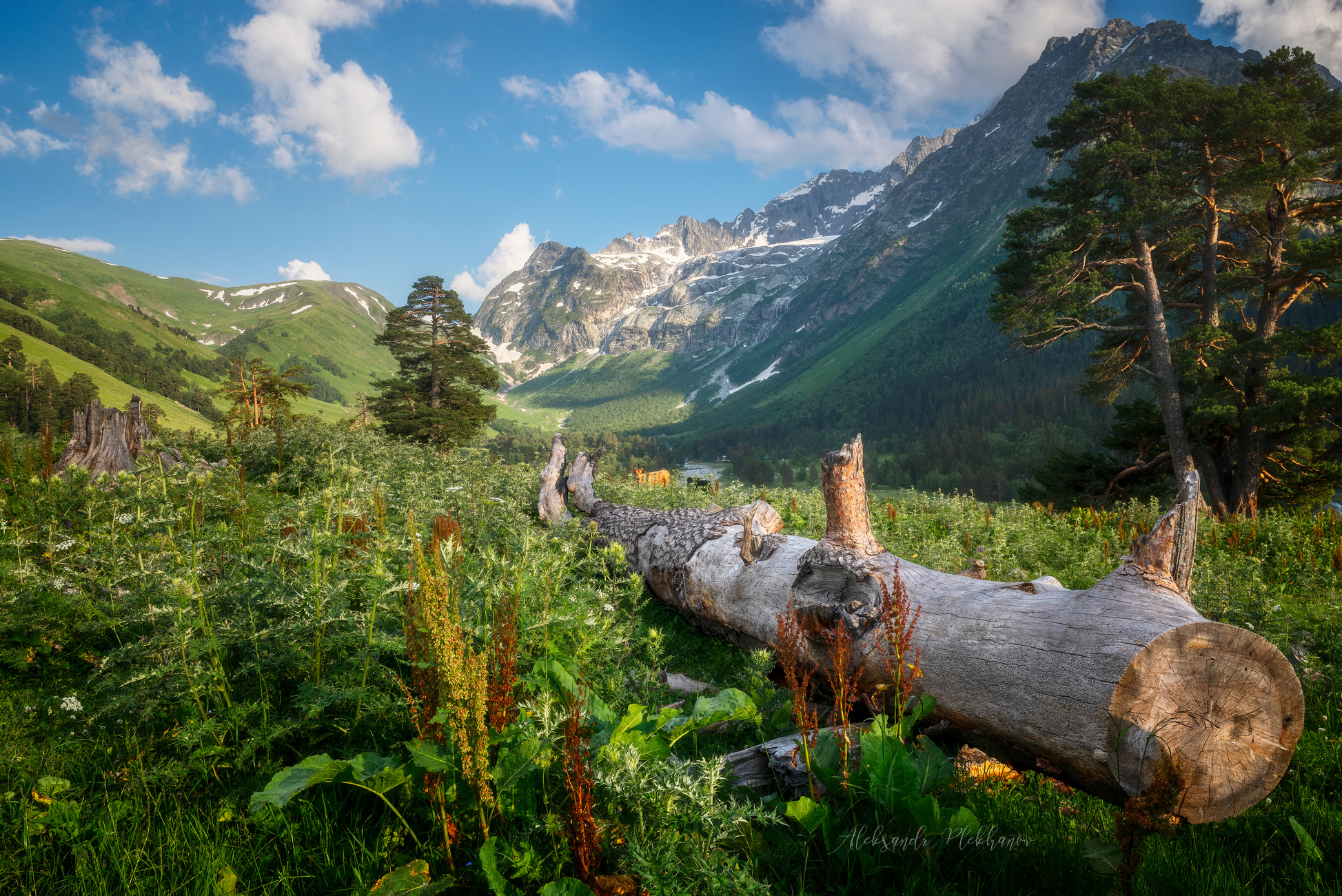 Вперёд к Софийским водопадам
