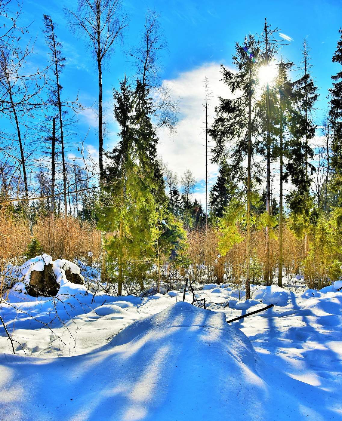 Мартовская зарисовка ...