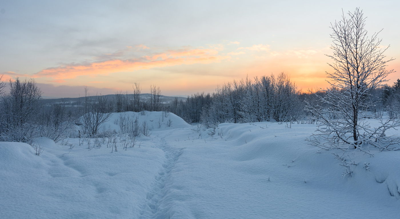 по свежему снежку