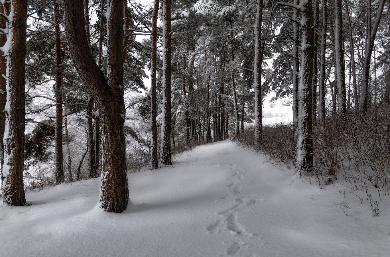 Как то зимой