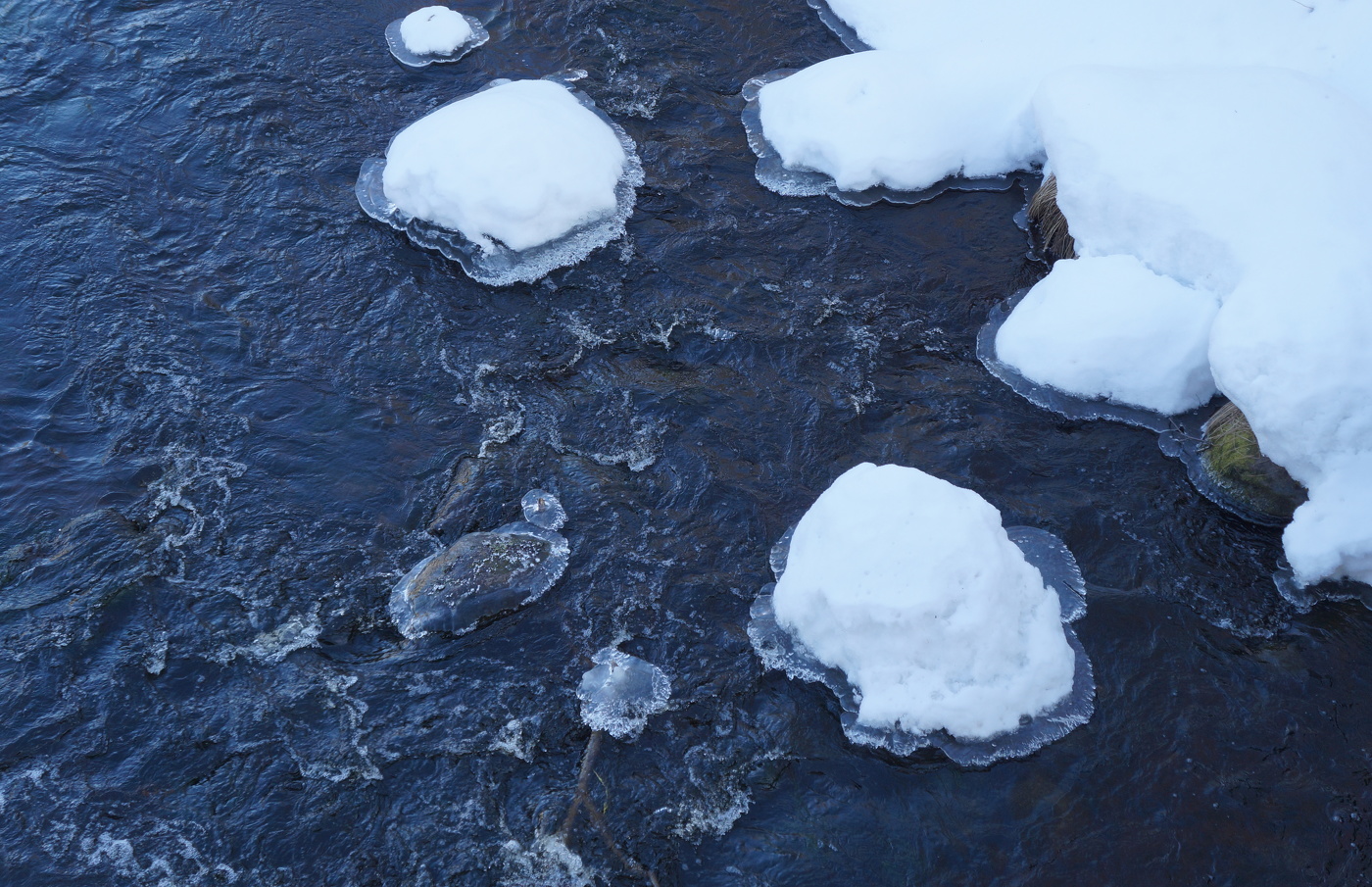 Посланцы Весны