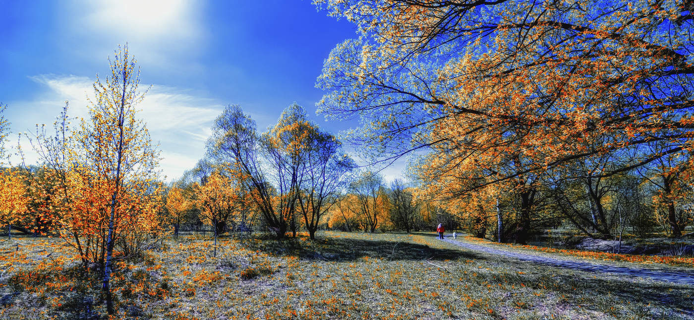 Дама с собачкой.