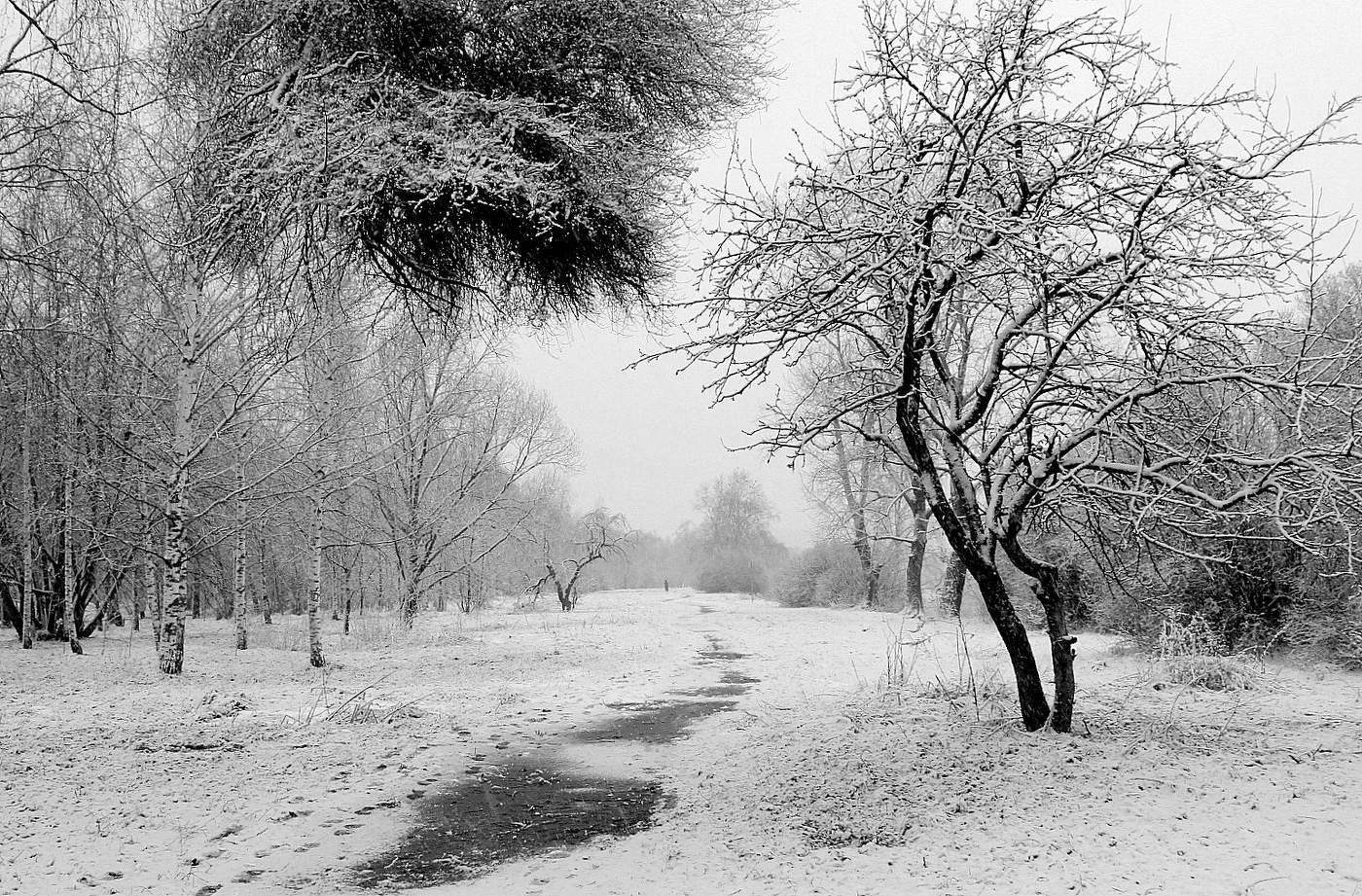 Графика зимы!